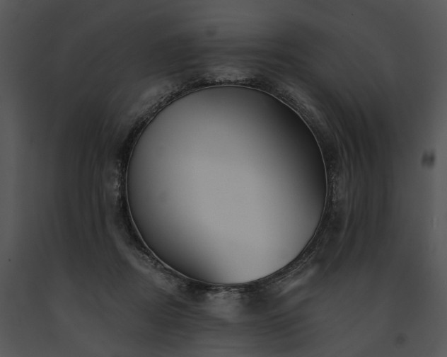 X0000091670362200708301504