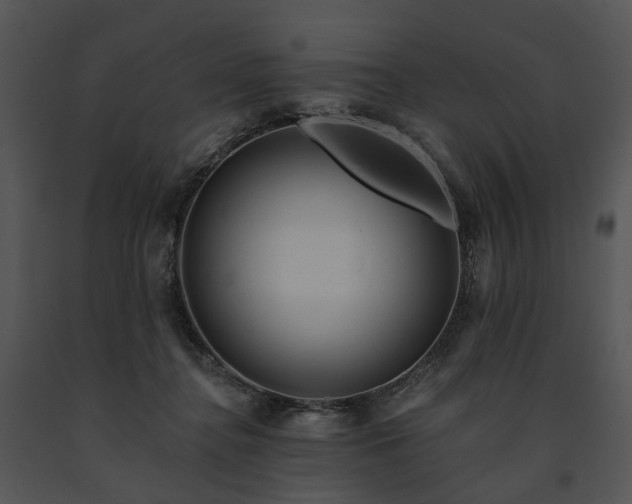 X0000091670364200708301504