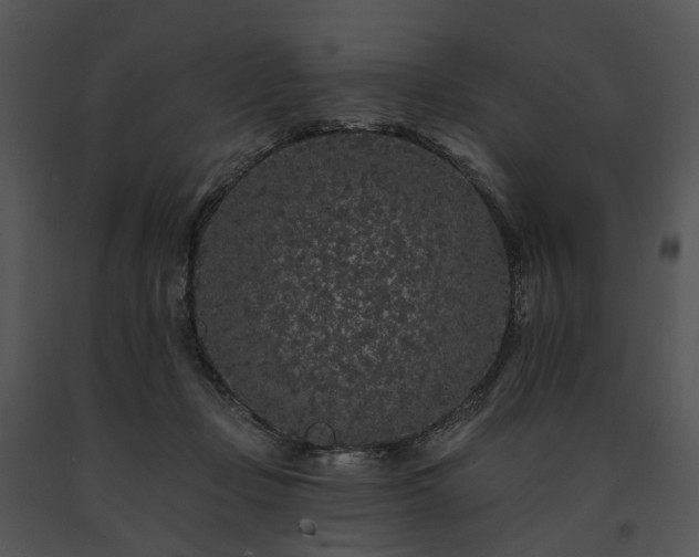 X0000091670365200708301504