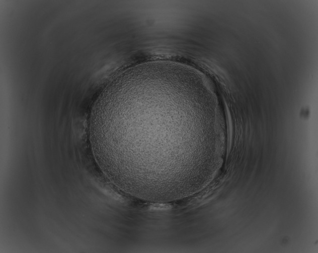 X0000091670369200708301504