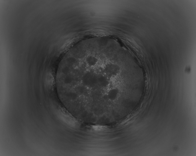 X0000091670371200708301504