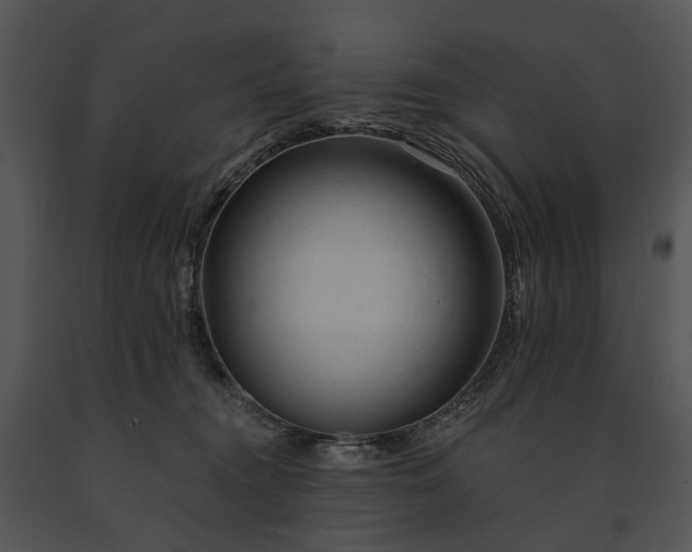 X0000091670372200708301504
