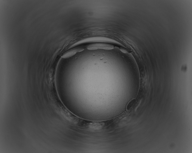 X0000091670373200708301504