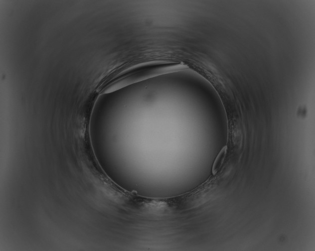 X0000091670374200708301504