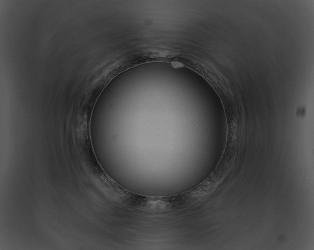 X0000091670376200708301504
