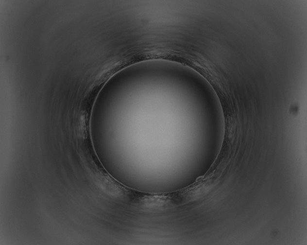 X0000091670378200708301504