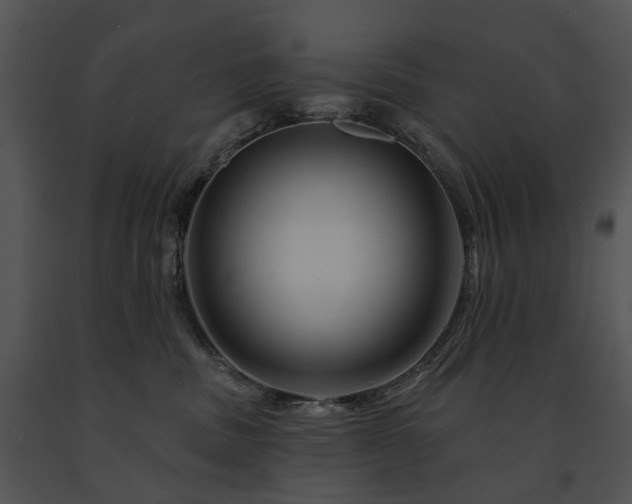 X0000091670379200708301504