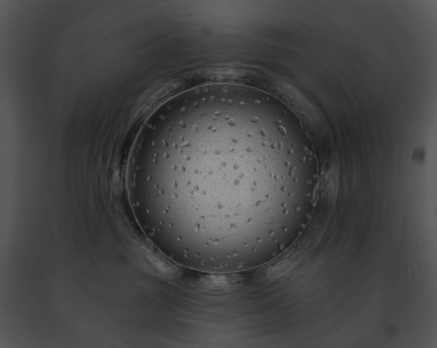 X0000091670381200708301504