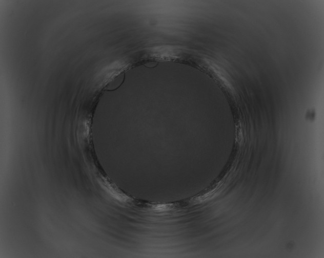 X0000091670382200708301504