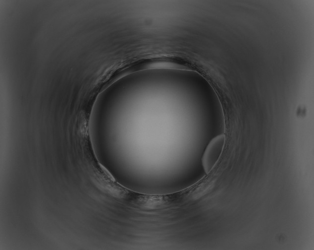X0000091670384200708301504