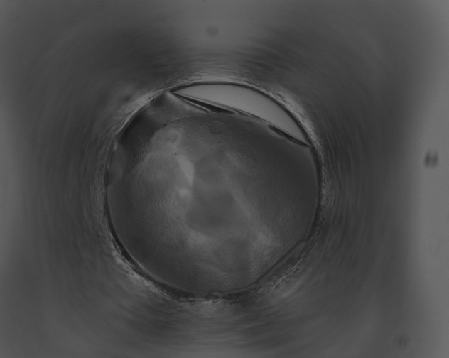 X0000091670385200708301504