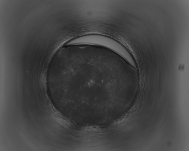 X0000091670386200708301504