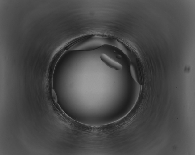 X0000091670388200708301504