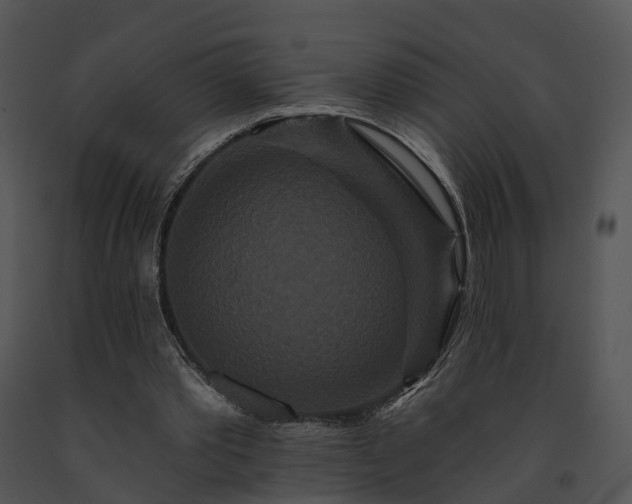 X0000091670389200708301504