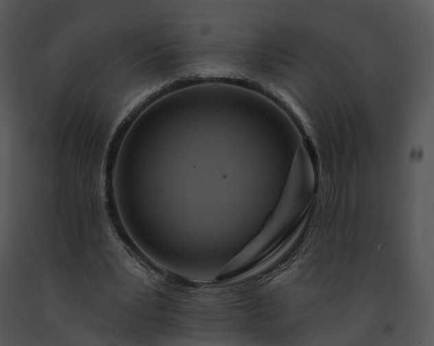 X0000091670391200708301504