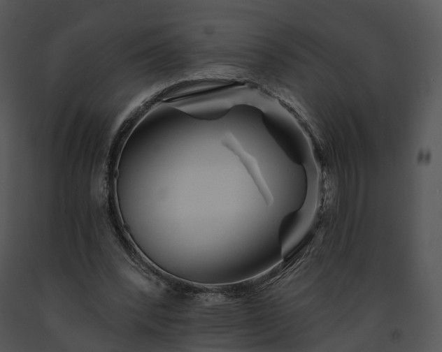 X0000091670392200708301504