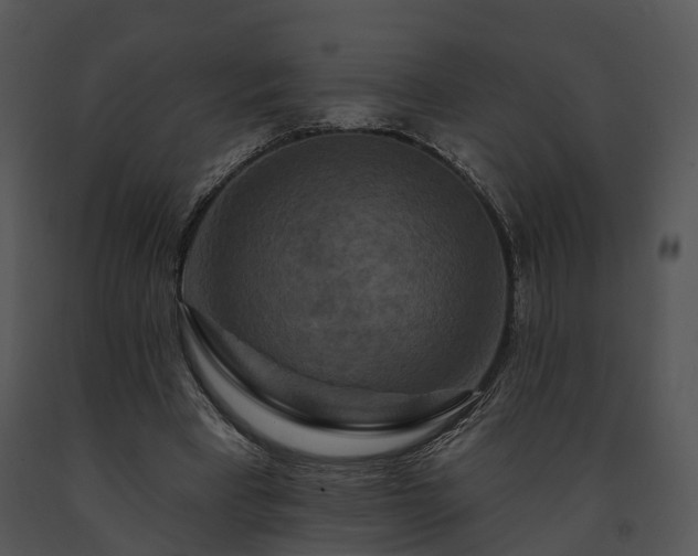 X0000091670393200708301504