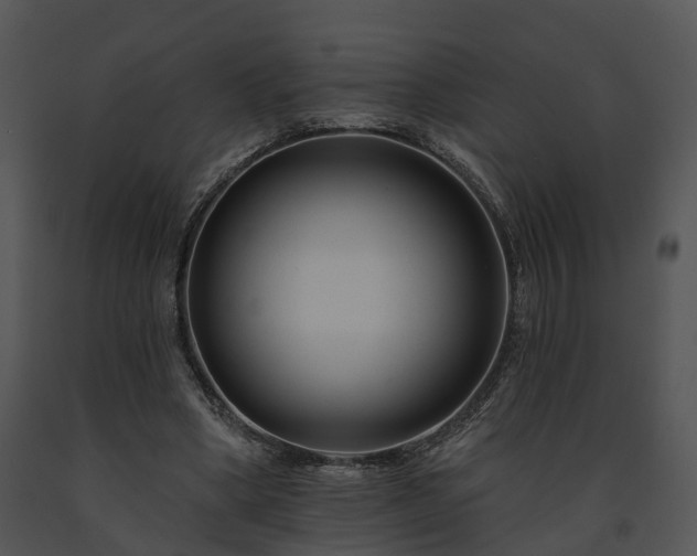 X0000091670394200708301504
