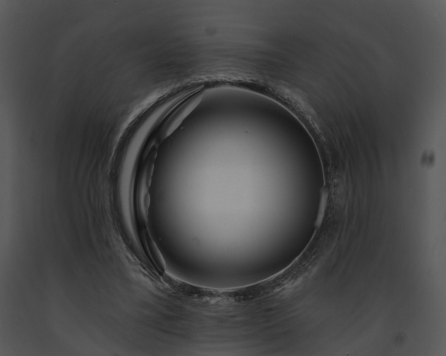 X0000091670395200708301504