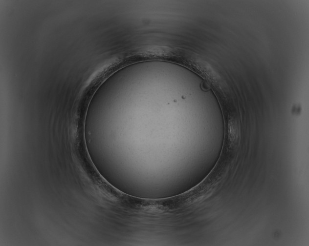 X0000091670396200708301504