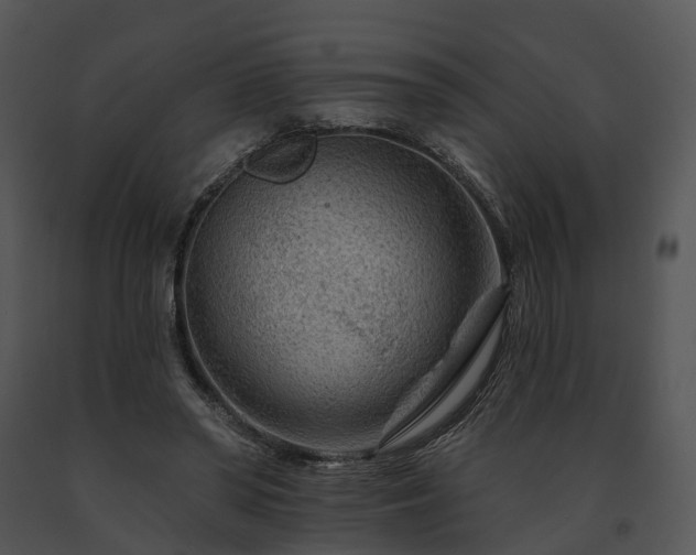 X0000091670398200708301503