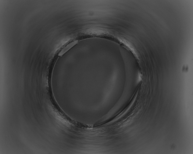 X0000091670399200708301503