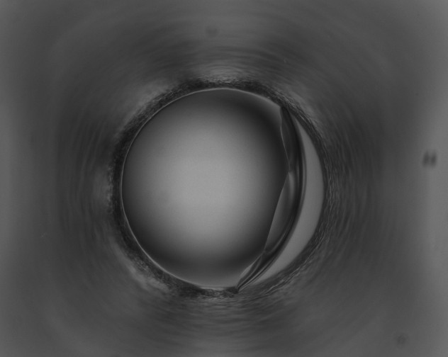 X0000091670400200708301503