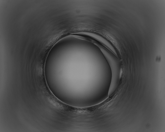 X0000091670401200708301503