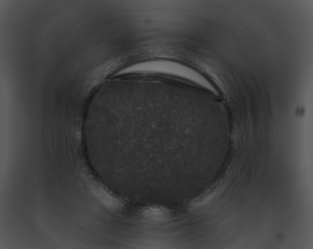 X0000091670402200708301503