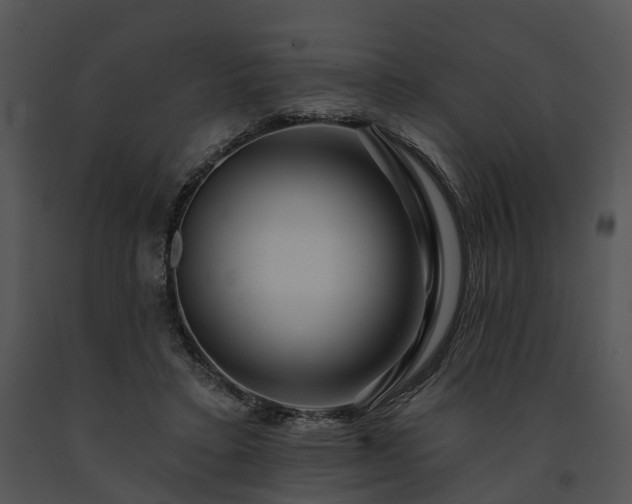 X0000091670403200708301503