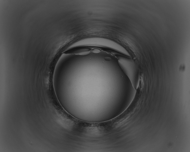 X0000091670404200708301503