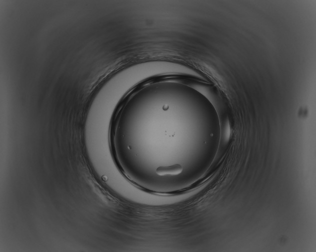 X0000091670405200708301503
