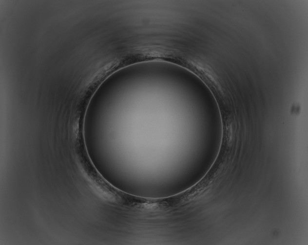 X0000091670406200708301503