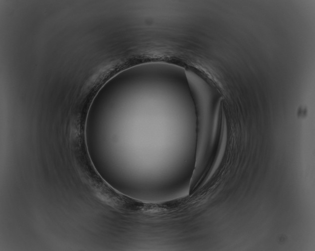 X0000091670407200708301503