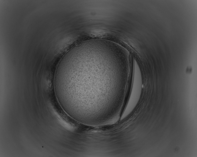X0000091670408200708301503