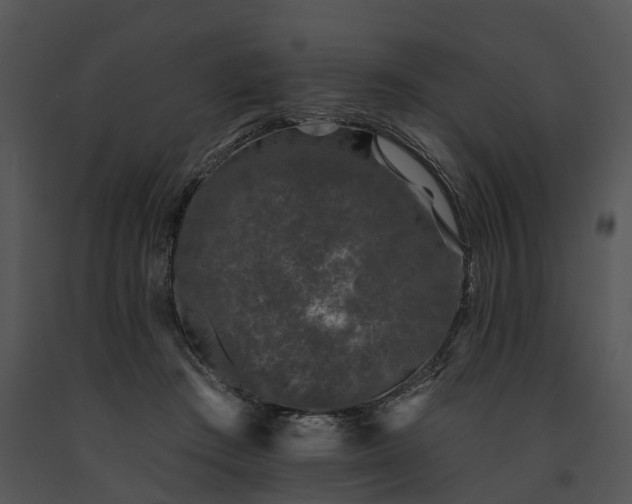 X0000091670409200708301503