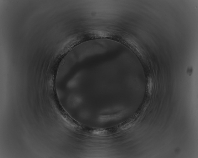 X0000091670410200708301503