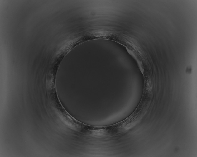 X0000091670411200708301503