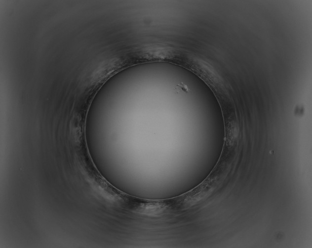 X0000091670414200708301503