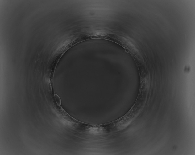 X0000091670415200708301503