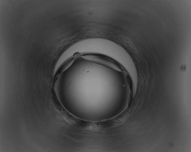 X0000091670416200708301503