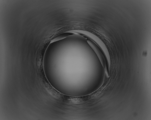 X0000091670417200708301503