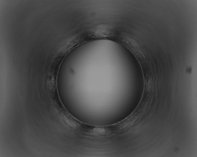X0000091670418200708301503