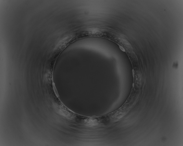 X0000091670419200708301503