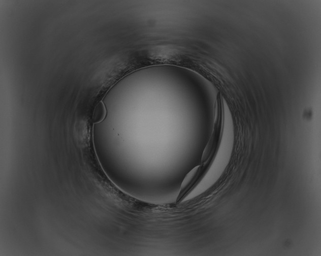X0000091670420200708301503