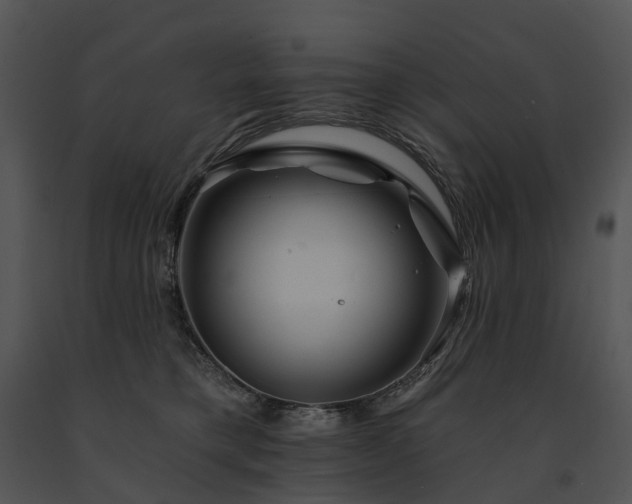 X0000091670421200708301503