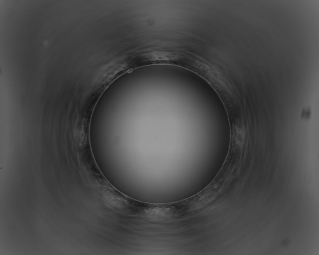 X0000091670422200708301503