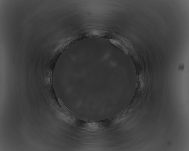 X0000091670423200708301503