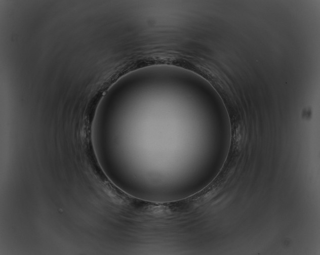 X0000091670424200708301503