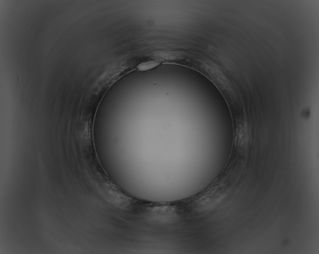 X0000091670426200708301503